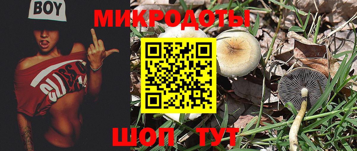 Псилоцибиновые грибы прущие грибы Электрогорск