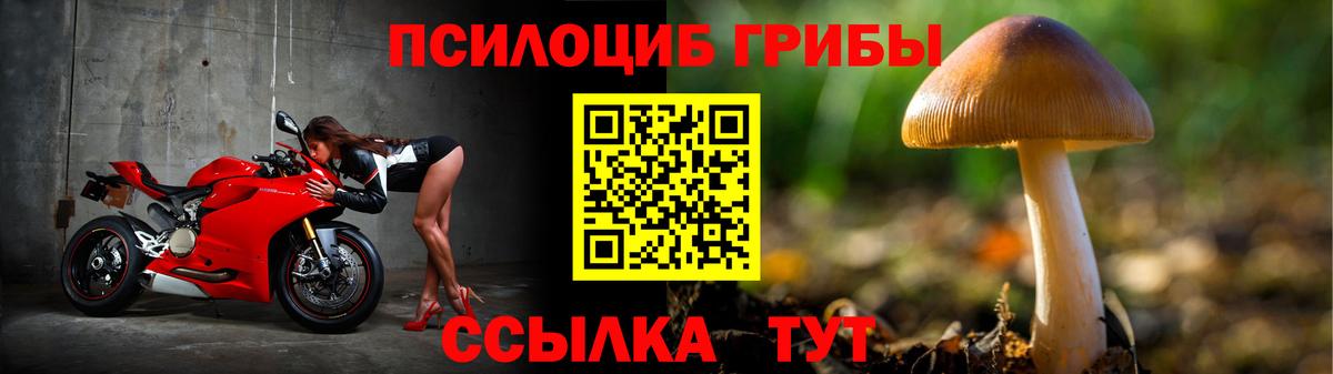 Псилоцибиновые грибы Cubensis  Вход с VPN  Электрогорск 